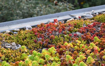 the cost of Barkla Shop green roof installation