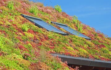 Barkla Shop living roof systems